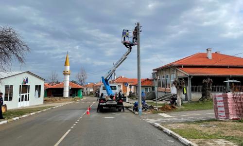 Изкоренено от силен вятър дърво счупи стълбове от мрежата на ЕРП Север